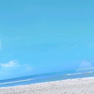 Meet your Posher, Nina